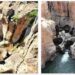 Bourke's Luck Potholes South Africa