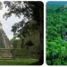 The Tikal Pyramids in Guatemala